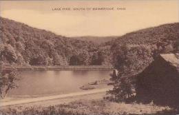 Ohio Bainbridge Lake Pike Artvue - Altri & Non Classificati