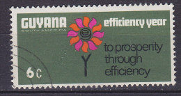 Guyana 1968 Mi. 318     6 C Staatsanleihen Efficiency Year - Guyana (1966-...)