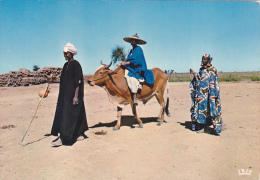 Africa - African Scene - Ohne Zuordnung