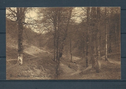 MARTELANGE: Entrée De La Foret, Gelopen Postkaart 1927 (GA13230) - Martelange