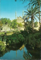 Cairo  Citadel    Egypt   # 03353 - Alejandría