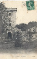 POITOU-CHARENTE - 17 - CHARENTE MARITIME - MONTENDRE - Le Château - Montendre