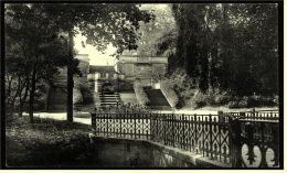 Riesa  -  Freitreppe Im Stadtpark  -   Ansichtskarte Ca.1915    (3326) - Riesa
