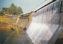 85 - CHANTONNAY - La Chute D´eau Du Barrage De L´angle Guignard - Chantonnay