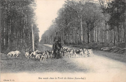 ¤¤  -  LE GAVRE   -  Une Meute Dans La Forêt  -  Chasse à Courre  -  Chasseurs  -  Chiens   -  ¤¤ - Le Gavre