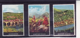 LOT DE 3 VIGNETTES COULEURS  ALLEMAGNE -TTB- HEIDELBERG-HINDELANG-HIRSCHHORN - Cinderellas