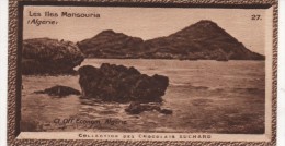 SUCHARD CHROMO IMAGE N°27 ALGERIE LES ILES MANSOURIA - Suchard