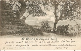 ROMA-ROME-LA QUERCIA DI TORQUATO TASSO-Arbre-Chêne-LE TASSE - Parchi & Giardini