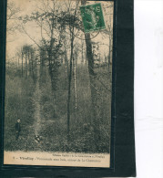 78 - Viroflay : Promenade Sous Bois Autour De " La Chaumière " - Viroflay