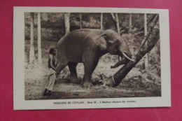 C P Ceylan Missions L'elephant Abattant Des Cocotiers - Sri Lanka (Ceylon)