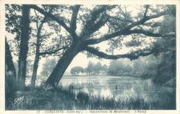 44 - CARQUEFOU - Sanatorium De Maubreuil - L'Etang - Carquefou