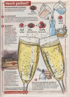 Page Coop Theme Gaz Carbonique Champagne - Sonstige & Ohne Zuordnung