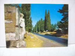 Via Appia Antica "Roma"  RM  "Lazio" (Italia) - Parcs & Jardins
