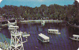 Florida Silver Springs Glass Bottomed Boats - Silver Springs