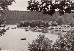 Robertville - Le Bassin De Natation - Weismes