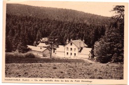 CP, 42, NOIRETABLE, Un Site Agréable Dans Les Bois Du Petit Hermitage, Vierge - Noiretable