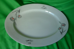 Old Antique Altrohlau Porcelain Factory 1918 - 1939 MZ Czechoslovakia Large Oval Serving Plate - Other & Unclassified