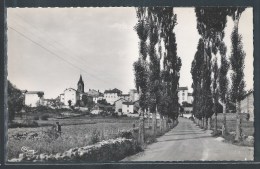 - CPA 43 - Loudes, Vue Générale - Route De Borne - Loudes