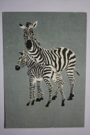 ZEBRAS - OLD USSR Postcard  By A.Petrov - 1966 - Zebras