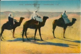 Postcard (Ethnics) - Morocco Chameliere - Zonder Classificatie