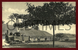 SAO TOME - UM COMBOIO DE ROÇA - 1920 PC - Sao Tomé E Principe