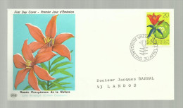 Liechtenstein Entier Postal 1970 - Stamped Stationery