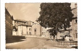 CRAPONNE SUR ARZON - HAUTE LOIRE - ARBRE DE LA LIBERTE PLANTE LE 5 MAI 1889 - Craponne Sur Arzon