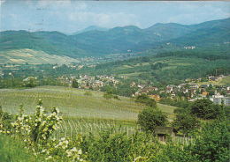 CPA MULLHEIM- TOWN PANORAMA, MOUNTAINS - Müllheim