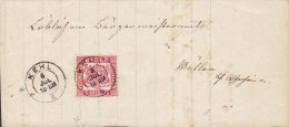 Baden Deluxe KEHL (1867) Cover-Piece Briefstück (2 Scans) - Storia Postale