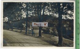 Bärenfels I. Erzgeb. 700 M Seehöhe-  1932 -Verlag: Stein, Dresden,   Postkarte, Mit Frankatur, Mit Stempel KIPSDORF - Altenberg