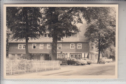 5940 LENNESTADT - SAALHAUSEN, Gaststätte, NSU PRINZ, Photo-AK - Lennestadt