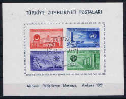 Turquie / Turkey: 1952 Block Nr 4 Used / Obl - Blokken & Velletjes