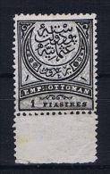 Turquie / Turkey: 1880  Ifs 111 Mi 40, Not Used (*) - Unused Stamps