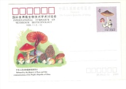 Entero Postal De China. - Covers & Documents