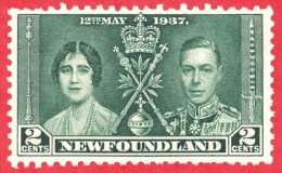 Newfoundland #  230 - 2 Cents - Mint - Dated  1937 - Coronation Issue /  Émission Du Couronnement - 1908-1947