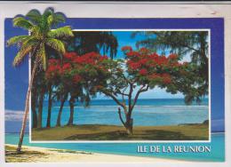 CPM  , ILE DE LA REUNION,  FLEURS Et LAGON A ST LIEU - Reunion