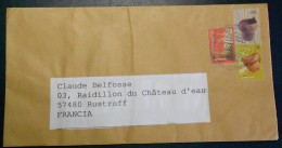 ARGENTINE - Lettre De 2012 Pour La France - Objets Traditionnels - Panier De Récolte - Métier à Tisser - Vase - Storia Postale