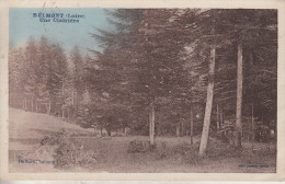 Belmont  (42) Une Clairière  (carte Colorisée) - Belmont De La Loire