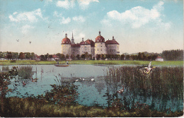 AK Schloss Moritzburg - Entenjagd - 1921 (5258) - Moritzburg
