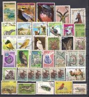 Lot 165 Africa Little Collection Fauna 2 Scans 55 Different - Other & Unclassified