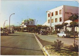 SAINT-CYPRIEN : Le Front De Mer - Saint Cyprien