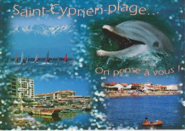 66 - Saint Cyprien Plage - DAUPHIN - Canigou Et Planches à Voiles - La Fontaine - La Plage - 2 Scans - - Delfines