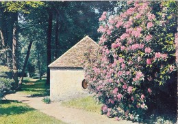 BF13955 Chateauneuf Sur Loire Loiret  France   Front/back Image - Châteauneuf