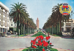 AFRIQIE,AFRICA,MAROC,MOROCCO,RABAT,avenue MOHAMMED 5,fleurs Rouge - Rabat