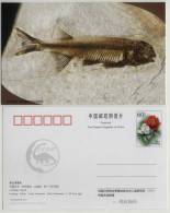 Lycoptera Davidi Fish Fossil,Live With Dinosaur In Early Cretaceous Period,CN 03 IVPP Advert Pre-stamped Card - Fossili