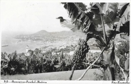 Madeira - Bananeiras (Bananiers) Vue Générale Funchal - Madeira
