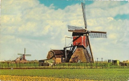 Nederland - Pays-Bas - Hollandse Molen - Moulin à Vent - Moulins à Vent
