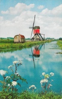 Pays-Bas - Hollandse Molen - Moulin à Vent - Wipwatermolen - Hazerswoude - Windmolens