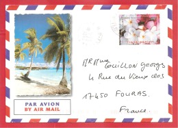 N°Y&T 775   PAPEETE   Vers  FRANCE   2006 - Storia Postale