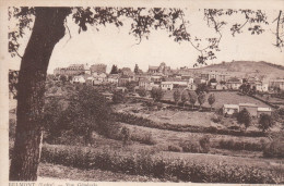 Belmont  (42)  -   Vue Générale - Belmont De La Loire